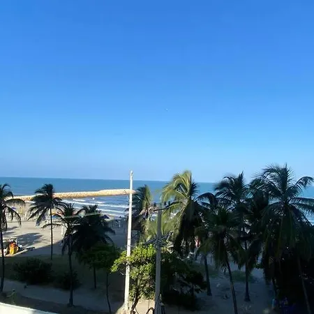 Hipocampo *